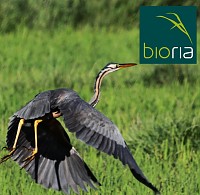 Promover o BioRia em Espanha
