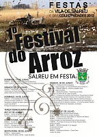 Festas da Vila de Salreu e das Coletividades 2012