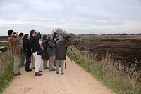 Birdwatching traz visitantes a Estarreja