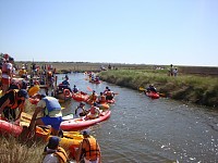 200 canoístas à descoberta da Ria em kayak