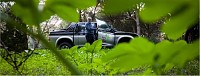 A voz da natureza, dos animais, das plantas