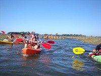 Centena e meia de participantes navegam nos canais da Ria de Aveiro
